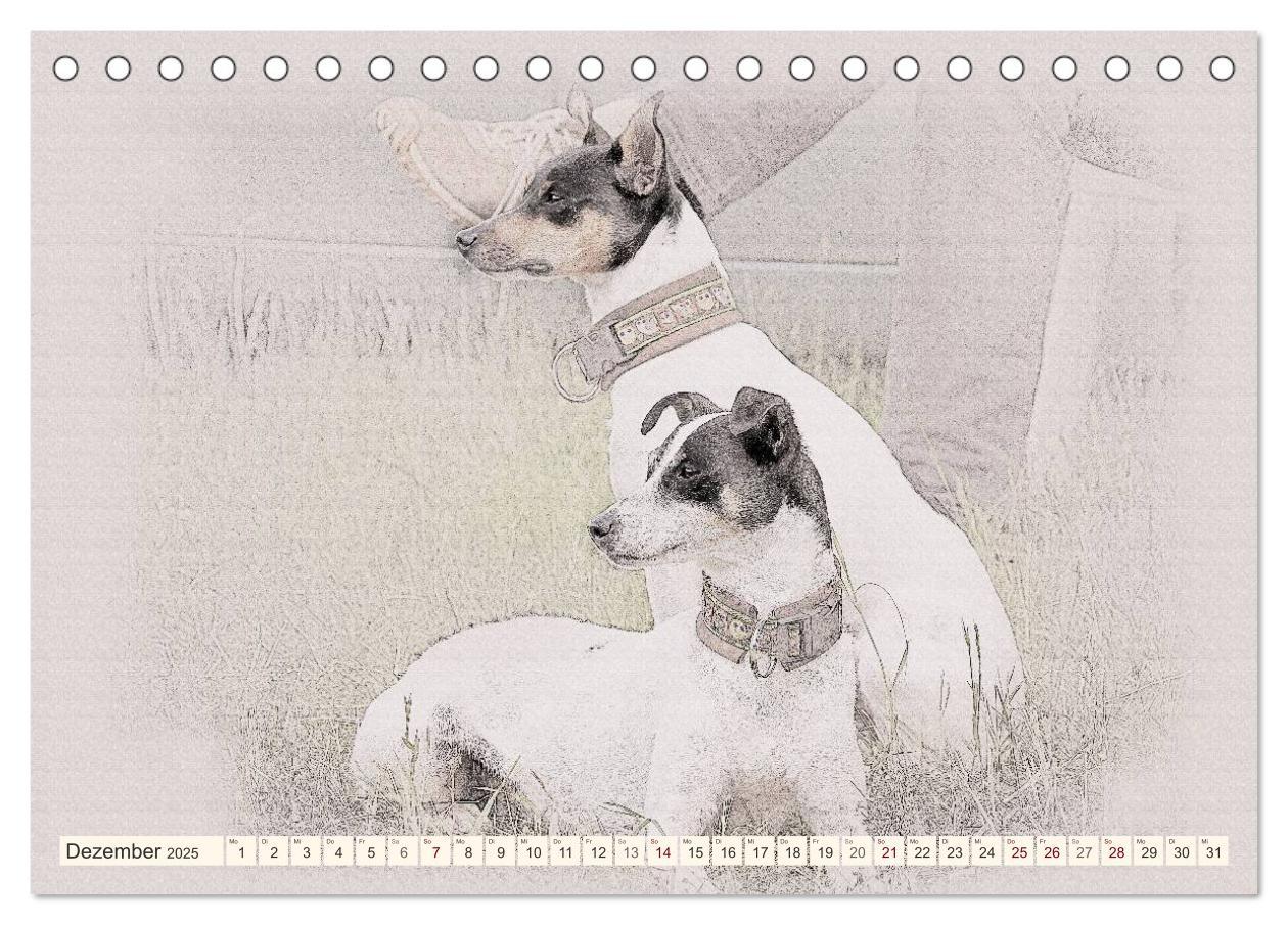 Bild: 9783435699872 | Bodeguero Andaluz 2025 (Tischkalender 2025 DIN A5 quer), CALVENDO...