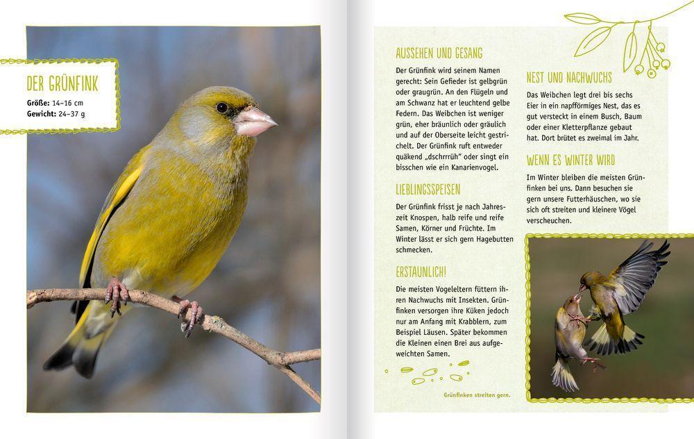 Bild: 9783649637585 | Vögel in unserem Garten | Mit 12 echten Vogelstimmen | Holger Haag