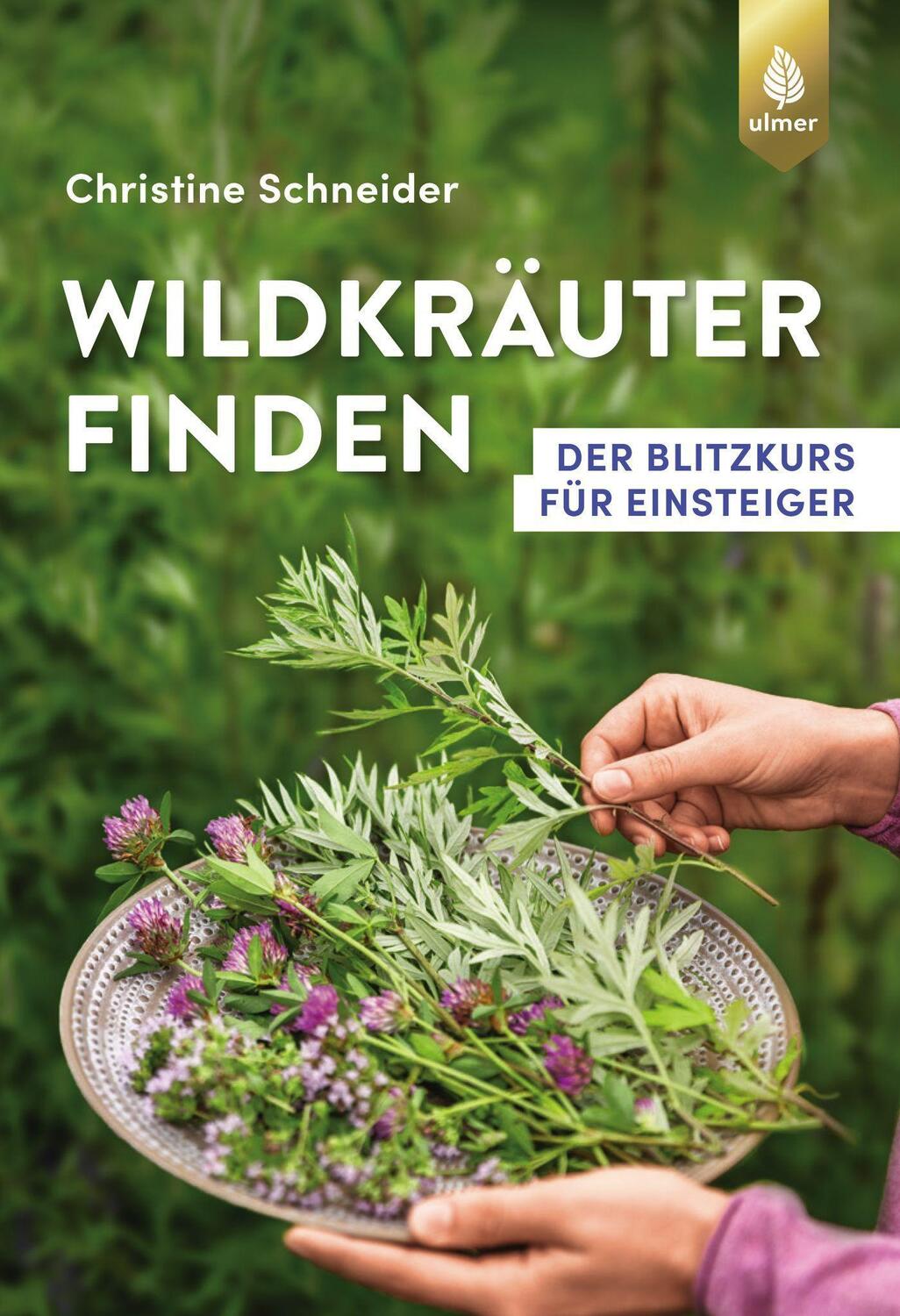 Cover: 9783818612696 | Wildkräuter finden | Der Blitzkurs für Einsteiger | Schneider | Buch