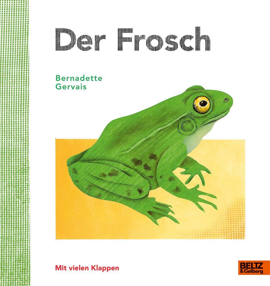 Cover: 9783407823441 | Der Frosch | Vierfarbiges Bilderbuch mit vielen Klappen | Gervais