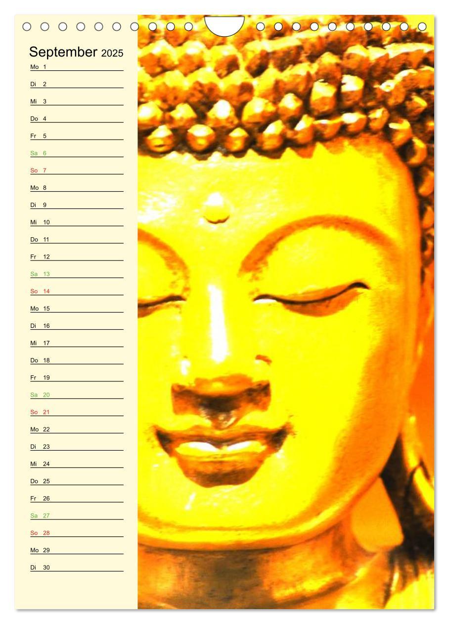 Bild: 9783457079119 | Buddha (Wandkalender 2025 DIN A4 hoch), CALVENDO Monatskalender | 2025