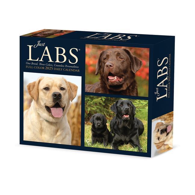 Cover: 9781549240928 | Labs 2025 6.2 X 5.4 Box Calendar | Willow Creek Press | Kalender