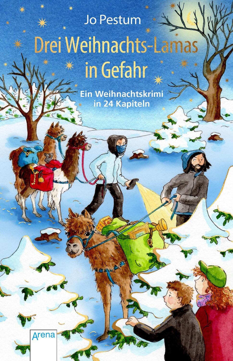 Cover: 9783401605258 | Drei Weihnachts-Lamas in Gefahr | Ein Weihnachtskrimi in 24 Kapiteln