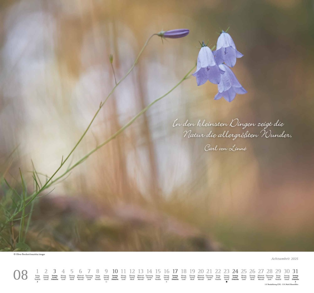 Bild: 4250809653495 | DUMONT - Achtsamkeit 2025 Wandkalender, 38x35,5cm,...