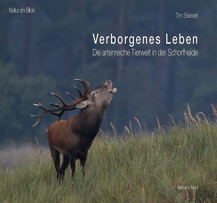 Cover: 9783942062367 | Verborgenes Leben | Die artenreiche Tierwelt in der Schorfheide | Buch