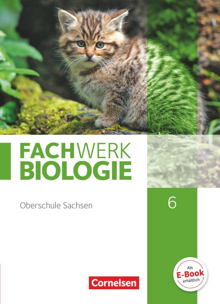 Cover: 9783060158911 | Fachwerk Biologie 6. Schuljahr - Sachsen - Schülerbuch | Tessendorf