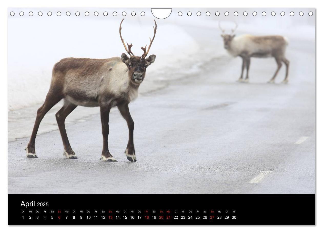 Bild: 9783435812707 | Schweden 2025 (Wandkalender 2025 DIN A4 quer), CALVENDO Monatskalender