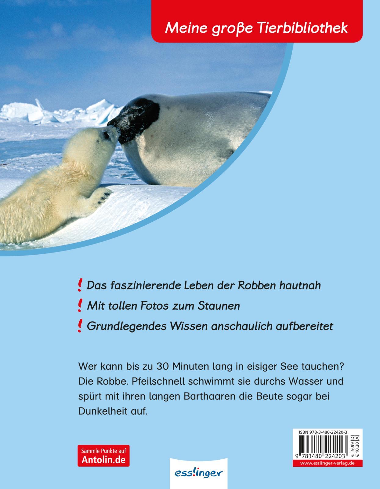 Rückseite: 9783480224203 | Die Robbe | Meine große Tier-Bibliothek | Valérie Tracqui | Buch