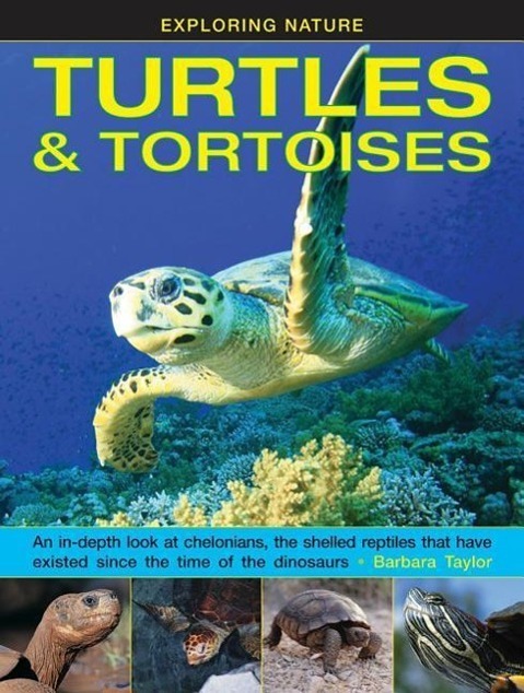 Cover: 9781861476432 | Exploring Nature: Turtles &amp; Tortoises | Taylor Barbara | Buch | 2015