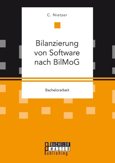 Cover: 9783958204089 | Bilanzierung von Software nach BilMoG | Nietzer C. | Taschenbuch