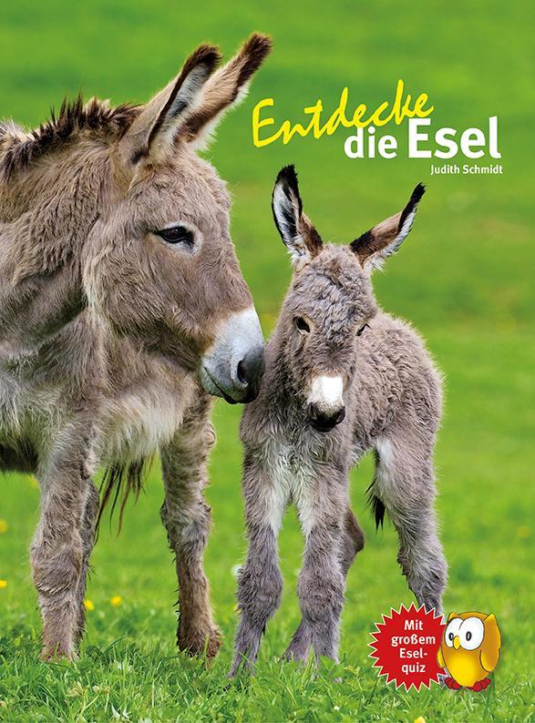 Cover: 9783866592919 | Entdecke die Esel | Judith Schmidt | Buch | 64 S. | Deutsch | 2017