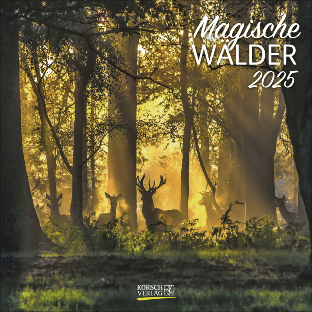 Cover: 9783731875529 | Magische Wälder 2025 | Korsch Verlag | Kalender | Englisch Broschur