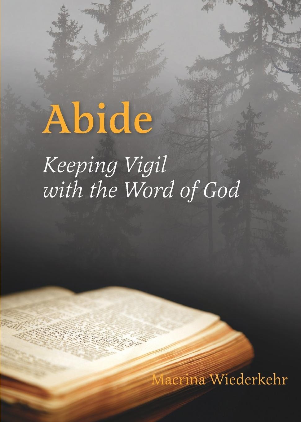 Cover: 9780814633830 | Abide | Keeping Vigil with the Word of God | Macrina Wiederkehr | Buch