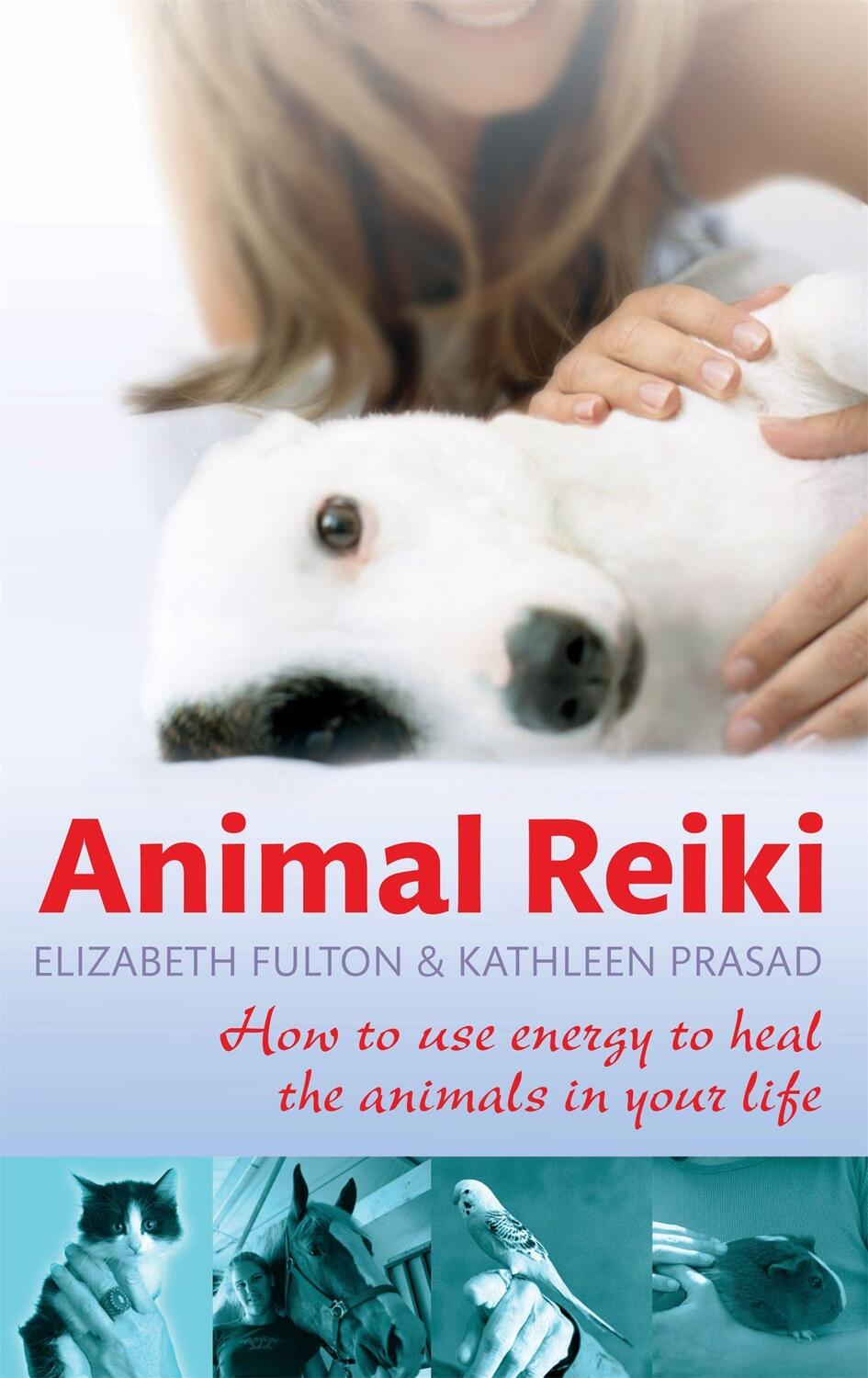 Cover: 9780749952808 | Animal Reiki | How to use energy to heal the animals in your life
