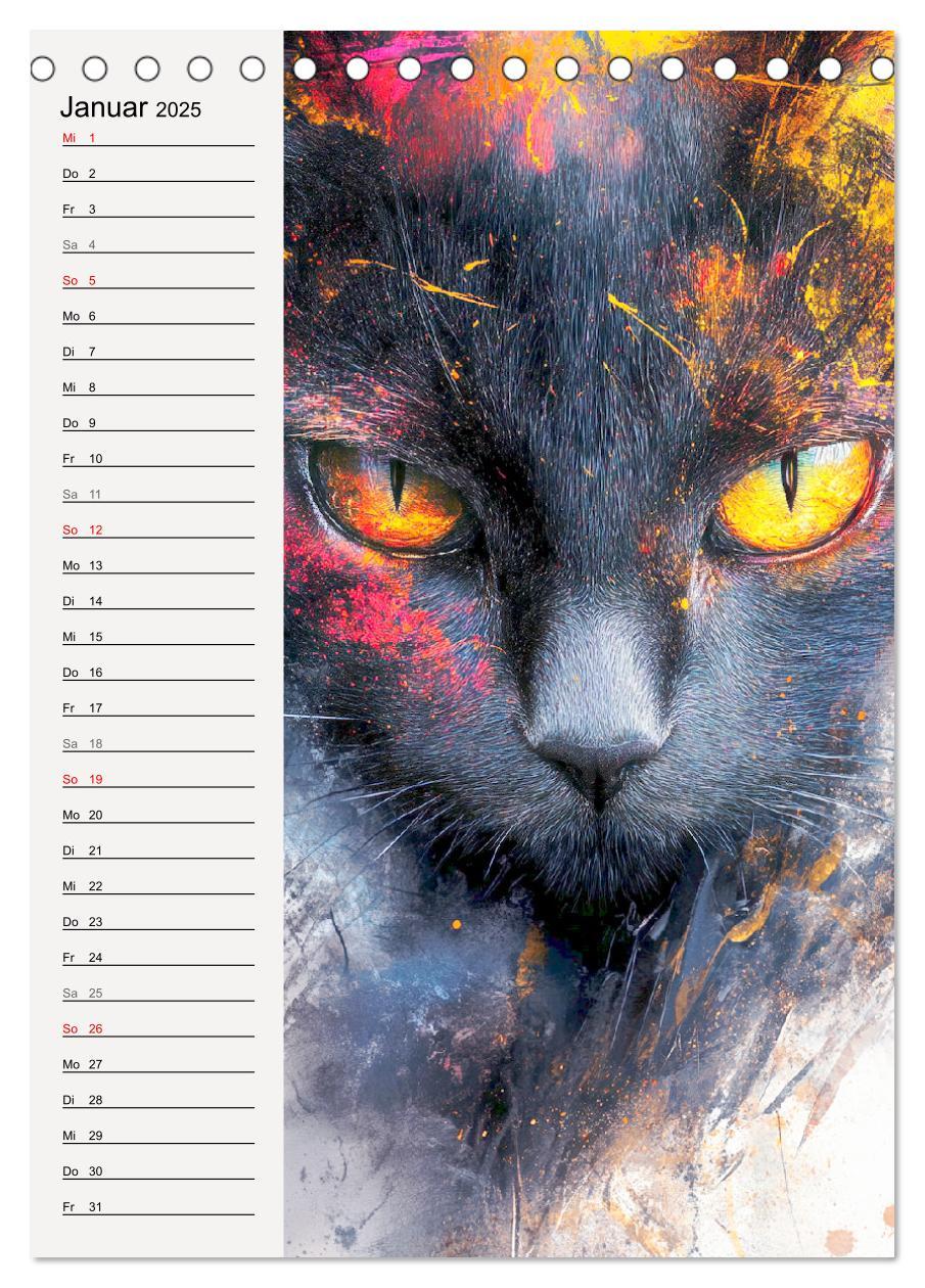 Bild: 9783457211991 | Katzenportraits. Moderne Samtpfoten-Kunst (Tischkalender 2025 DIN...