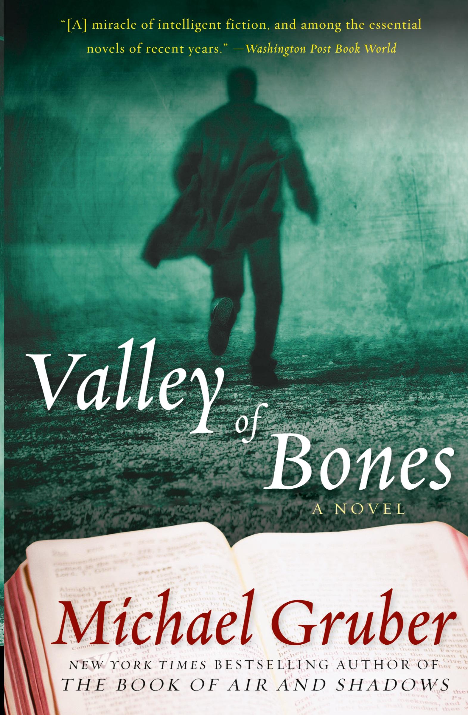 Cover: 9780061650741 | Valley of Bones | Michael Gruber | Taschenbuch | Englisch | 2009