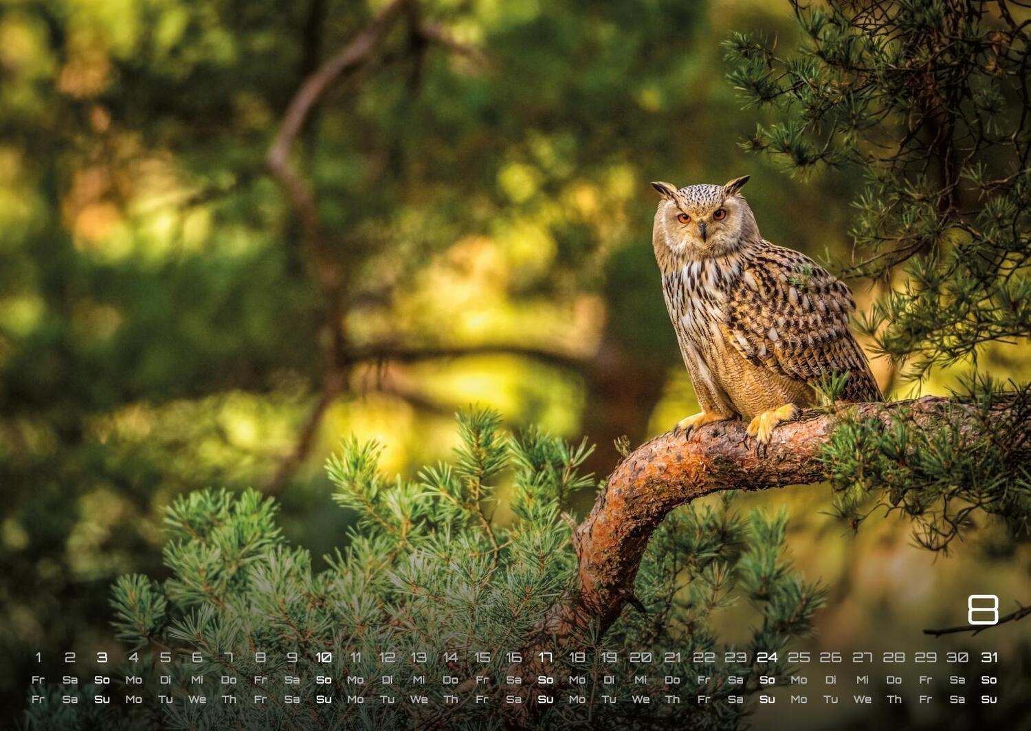 Bild: 9783986734473 | Wald - Erholung für Mensch und Tier - 2025 - Kalender DIN A2 | de