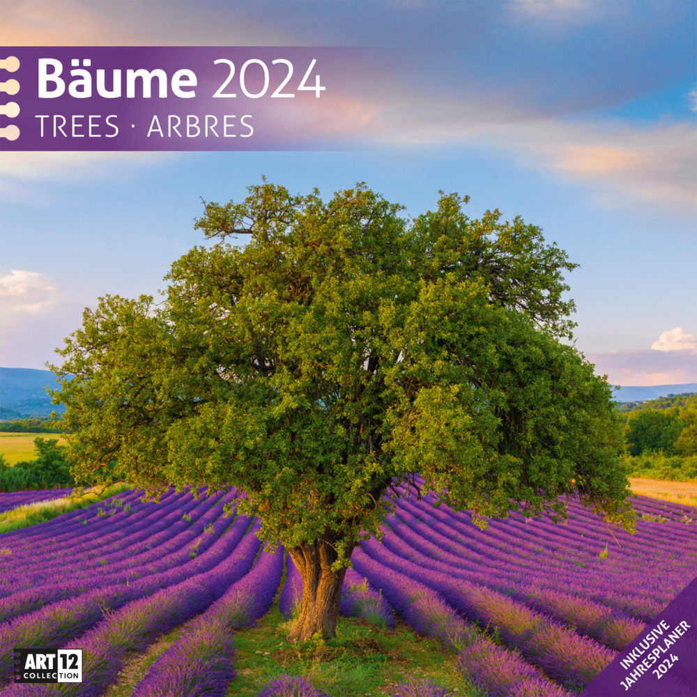 Cover: 9783838444123 | Bäume Kalender 2024 - 30x30 | Ackermann Kunstverlag | Kalender | 28 S.