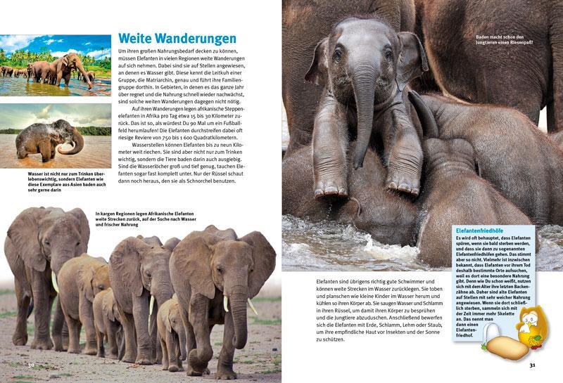Bild: 9783866592858 | Entdecke die Elefanten | Arno Schulz (u. a.) | Buch | 64 S. | Deutsch