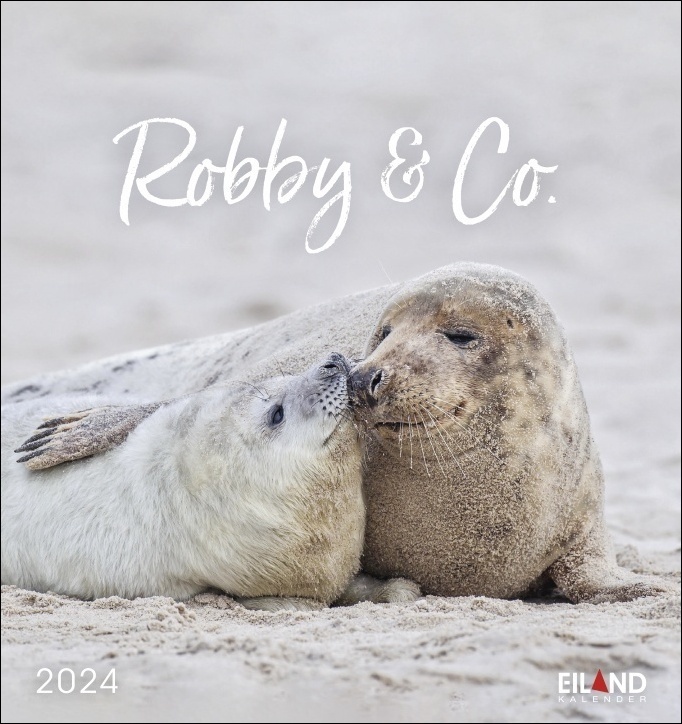 Cover: 9783964022813 | Robby &amp; Co Postkartenkalender 2024. Robben und Seehunde in...