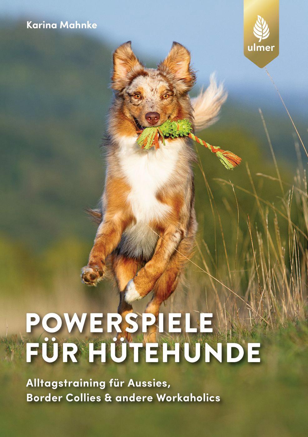 Cover: 9783818615109 | Powerspiele für Hütehunde | Karina Mahnke | Taschenbuch | Deutsch