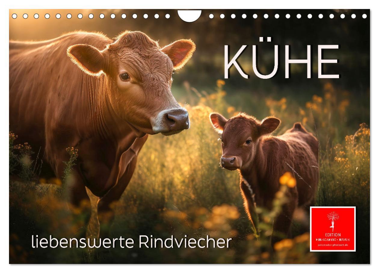 Cover: 9783383869600 | Kühe - liebenswerte Rindviecher (Wandkalender 2025 DIN A4 quer),...