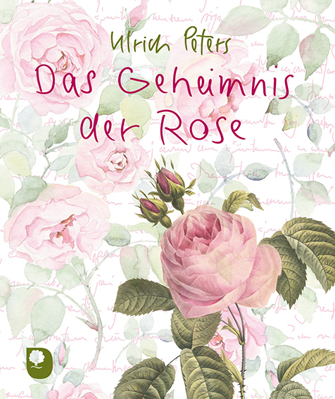 Cover: 9783987000188 | Das Geheimnis der Rose | Ulrich Peters | Taschenbuch | Deutsch | 2023