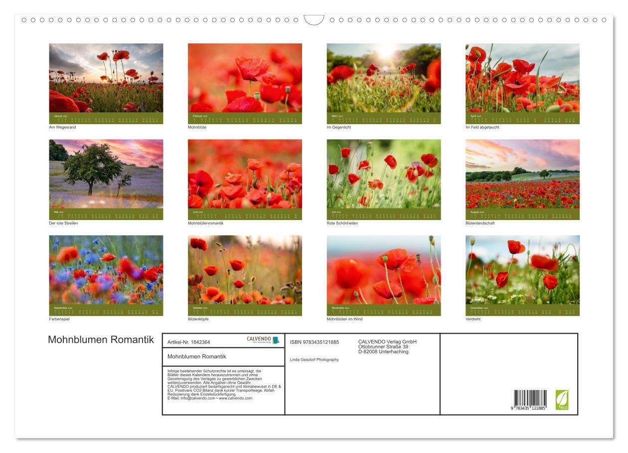 Bild: 9783435121885 | Mohnblumen Romantik (Wandkalender 2025 DIN A2 quer), CALVENDO...