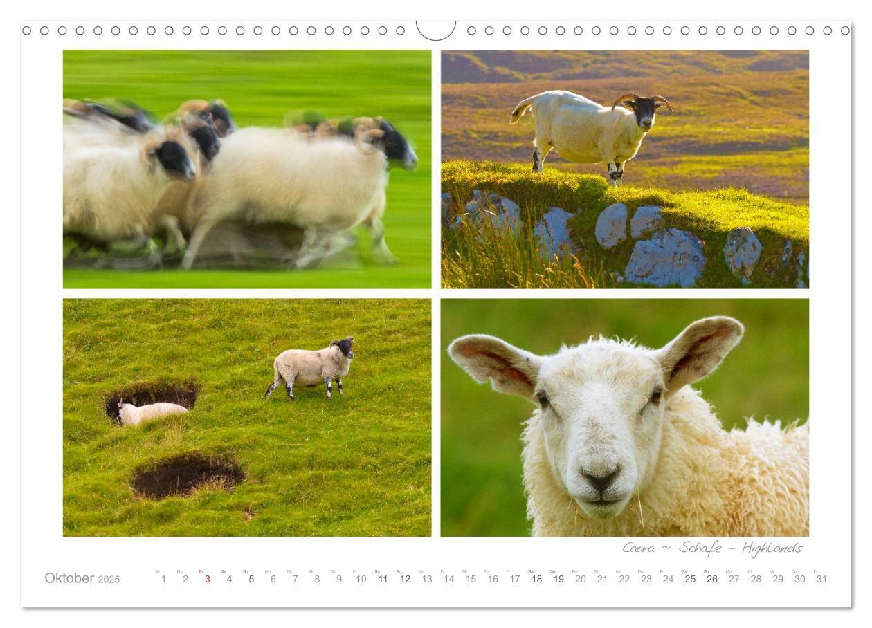 Bild: 9783435822591 | Sehnsucht Schottland (Wandkalender 2025 DIN A3 quer), CALVENDO...