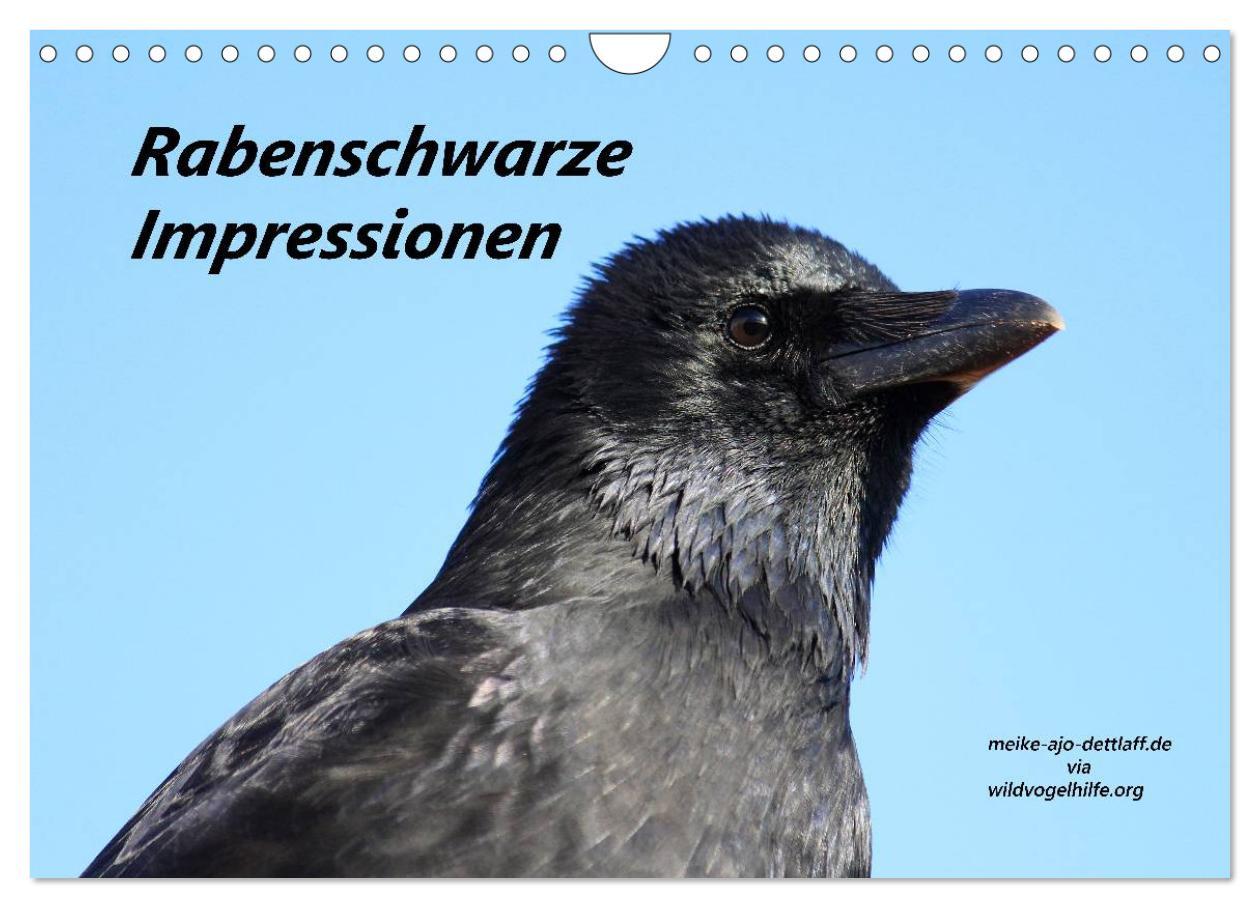 Cover: 9783435540976 | Rabenschwarze Impressionen - meike-ajo-dettlaff.de via...