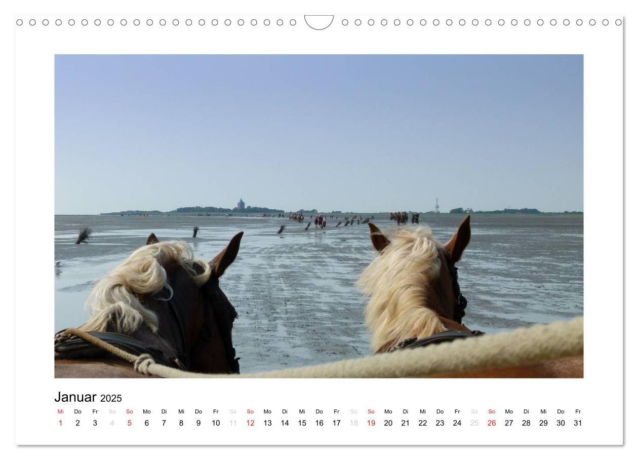 Bild: 9783435709670 | Die schöne Insel Neuwerk (Wandkalender 2025 DIN A3 quer), CALVENDO...