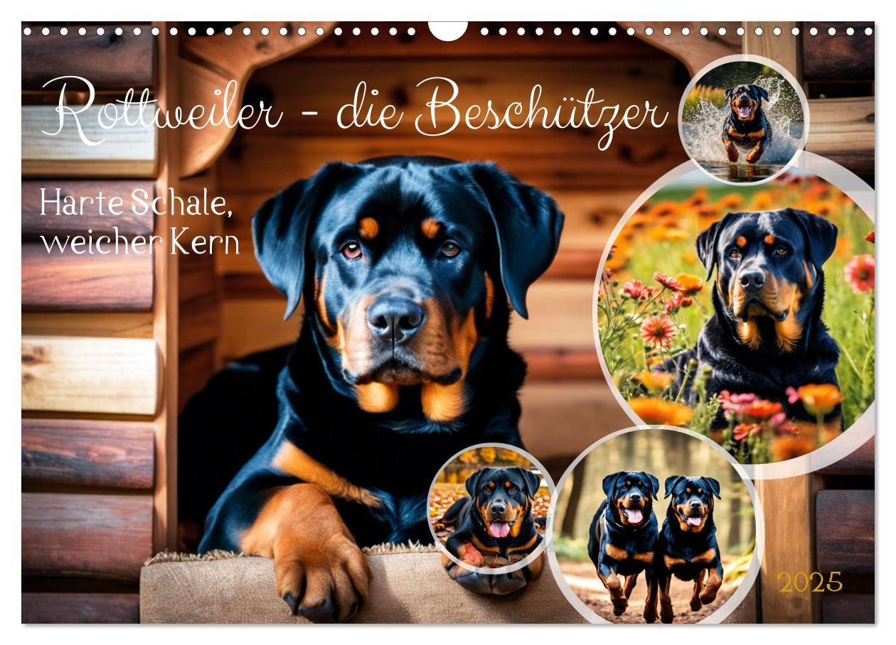 Cover: 9783457128688 | Rottweiler - die Beschützer (Wandkalender 2025 DIN A3 quer),...