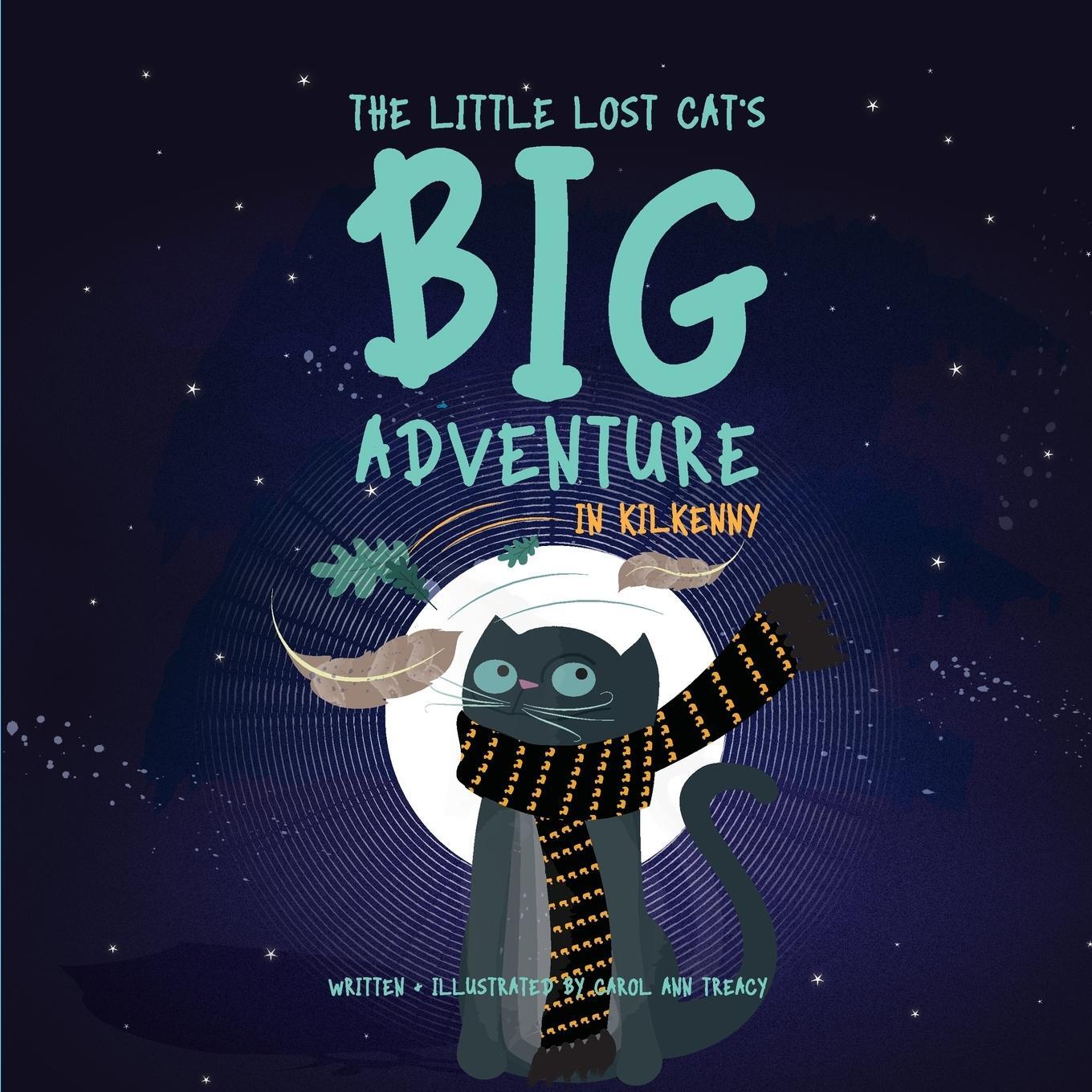 Cover: 9781999711900 | The Little Lost Cat's Big Adventure in Kilkenny | Carol Ann Treacy