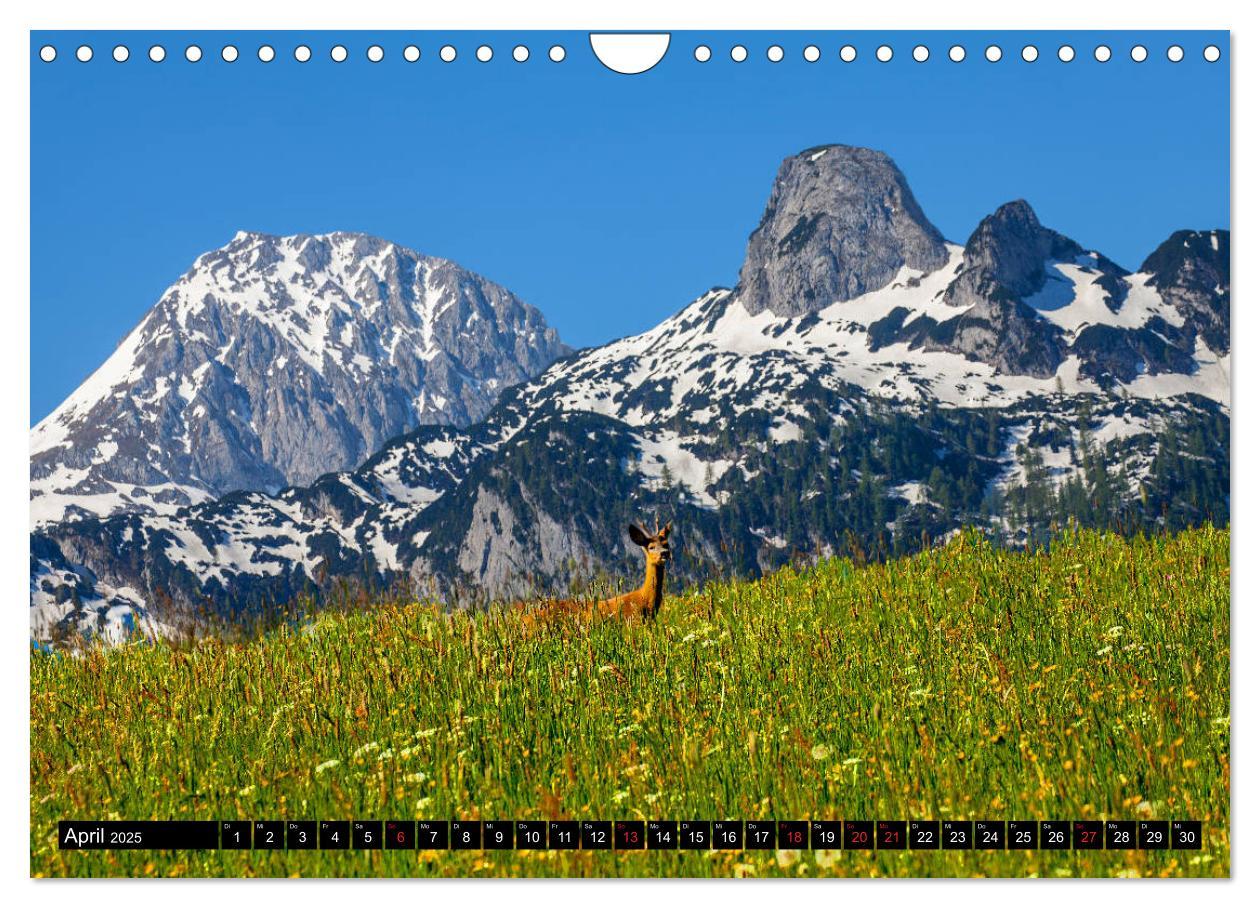 Bild: 9783435176823 | Abtenau im Lammertal (Wandkalender 2025 DIN A4 quer), CALVENDO...