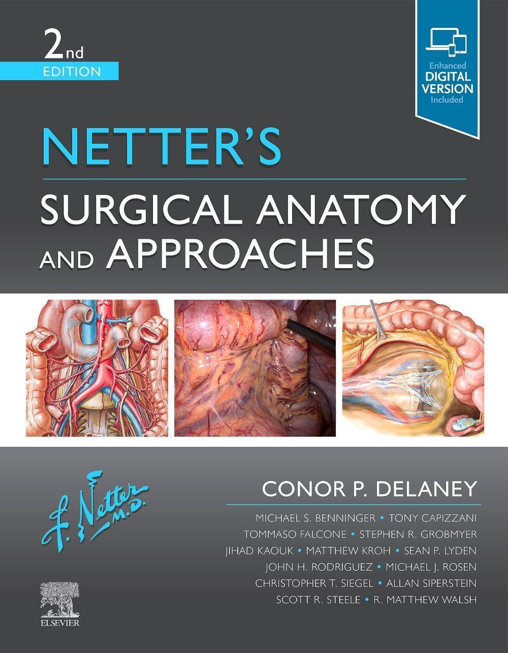 Cover: 9780323673464 | Netter's Surgical Anatomy and Approaches | Delaney | Buch | Englisch