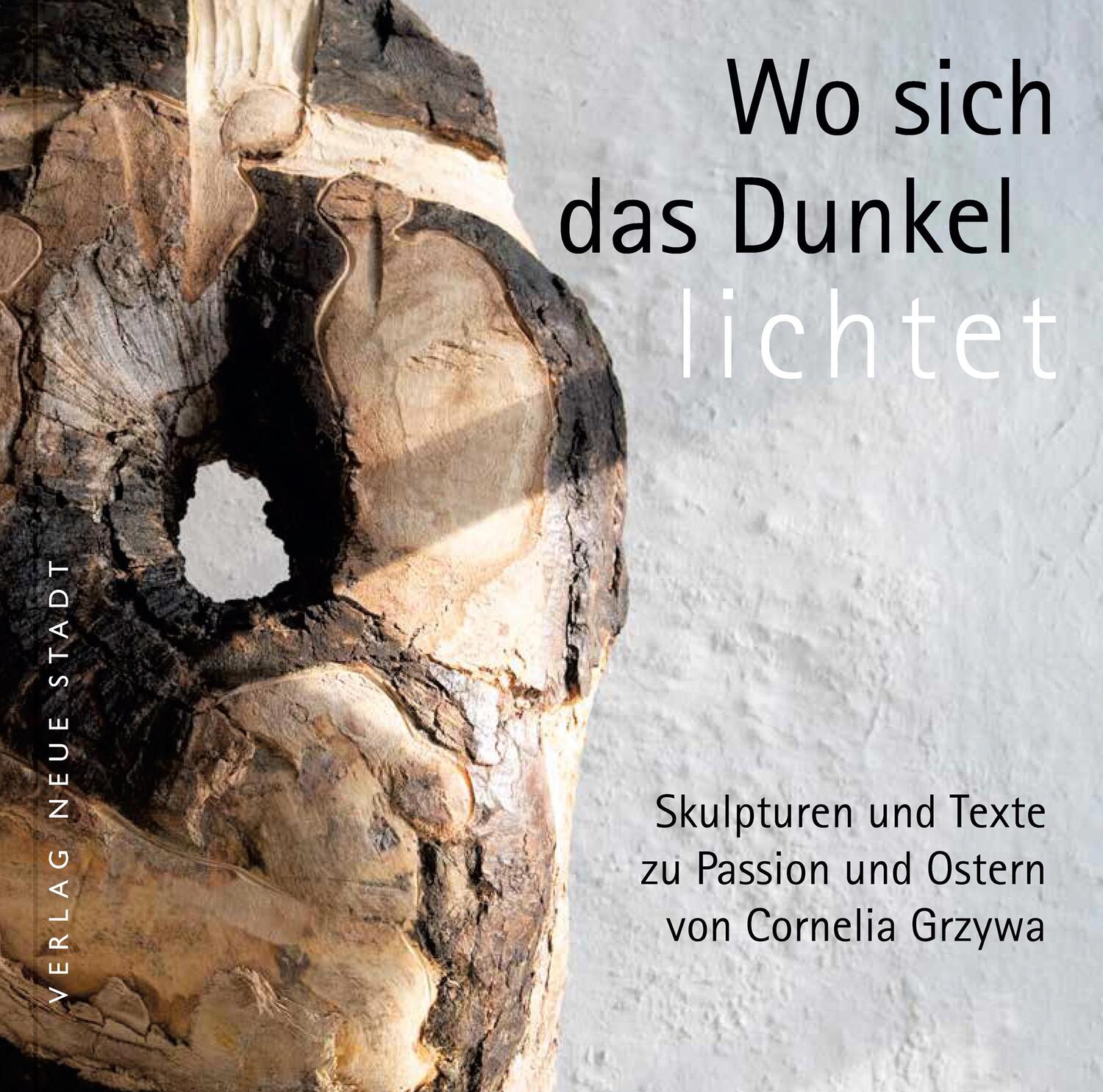 Cover: 9783734613173 | Wo sich das Dunkel lichtet | Cornelia Grzywa | Buch | BildWorte | 2023