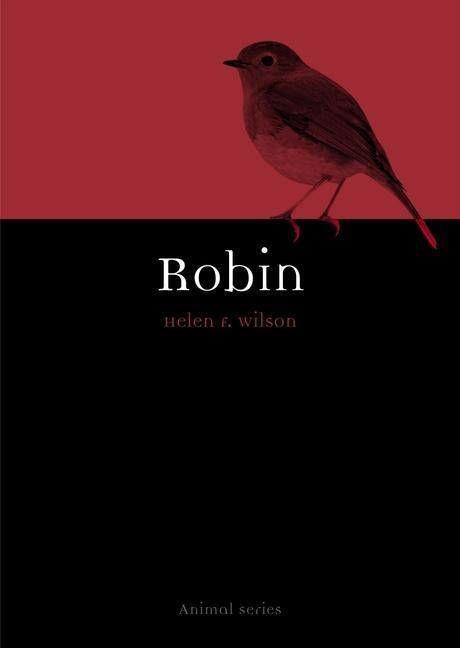 Cover: 9781789146264 | Robin | Helen F Wilson | Taschenbuch | Animal | Englisch | 2022