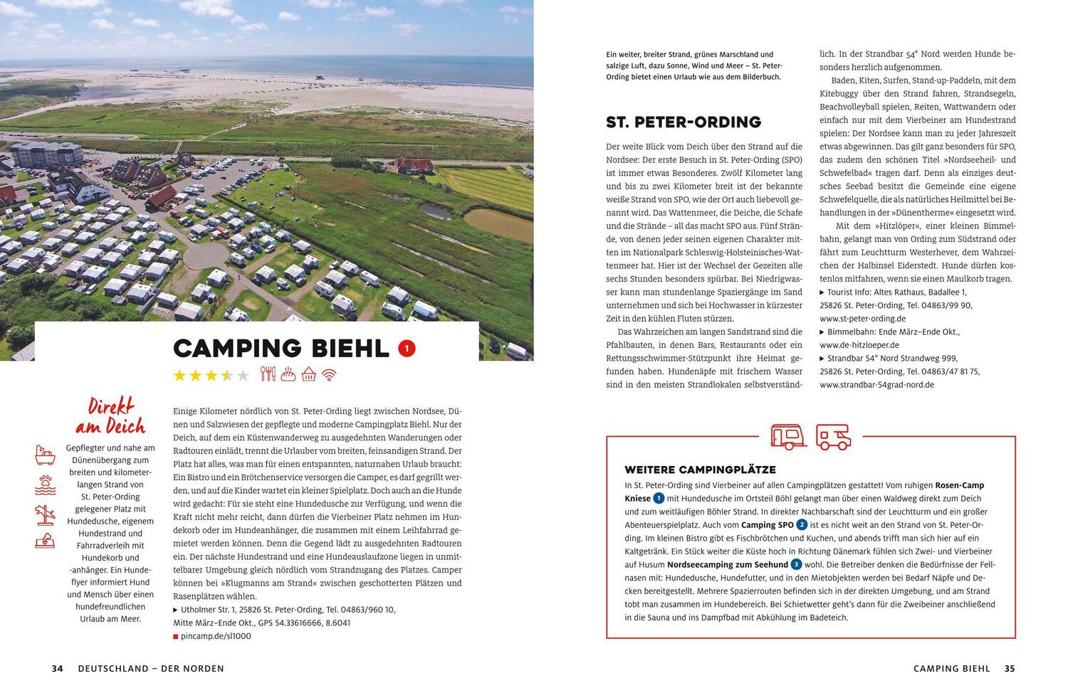 Bild: 9783986451349 | Yes we camp! Camping mit Hund | Andrea Lammert (u. a.) | Taschenbuch