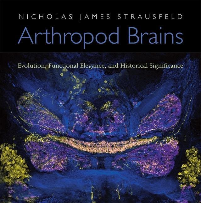 Cover: 9780674046337 | Arthropod Brains | Nicholas James Strausfeld | Buch | Englisch | 2012