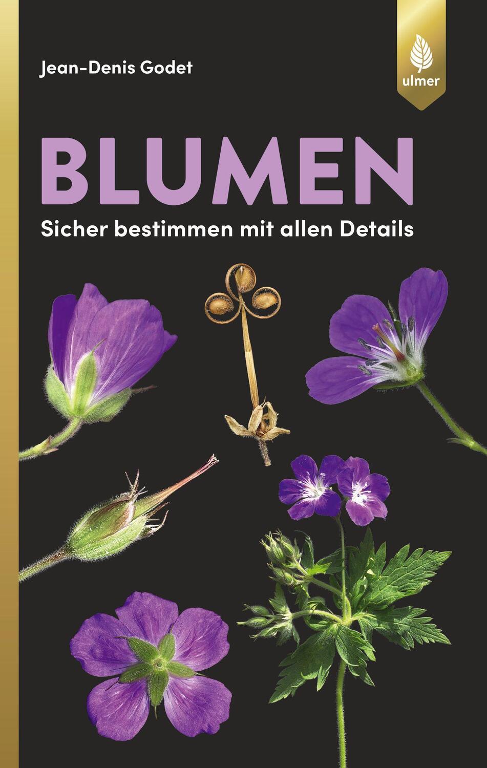 Cover: 9783800156009 | Blumen | sicher bestimmen mit allen Details | Jean-Denis Godet | Buch