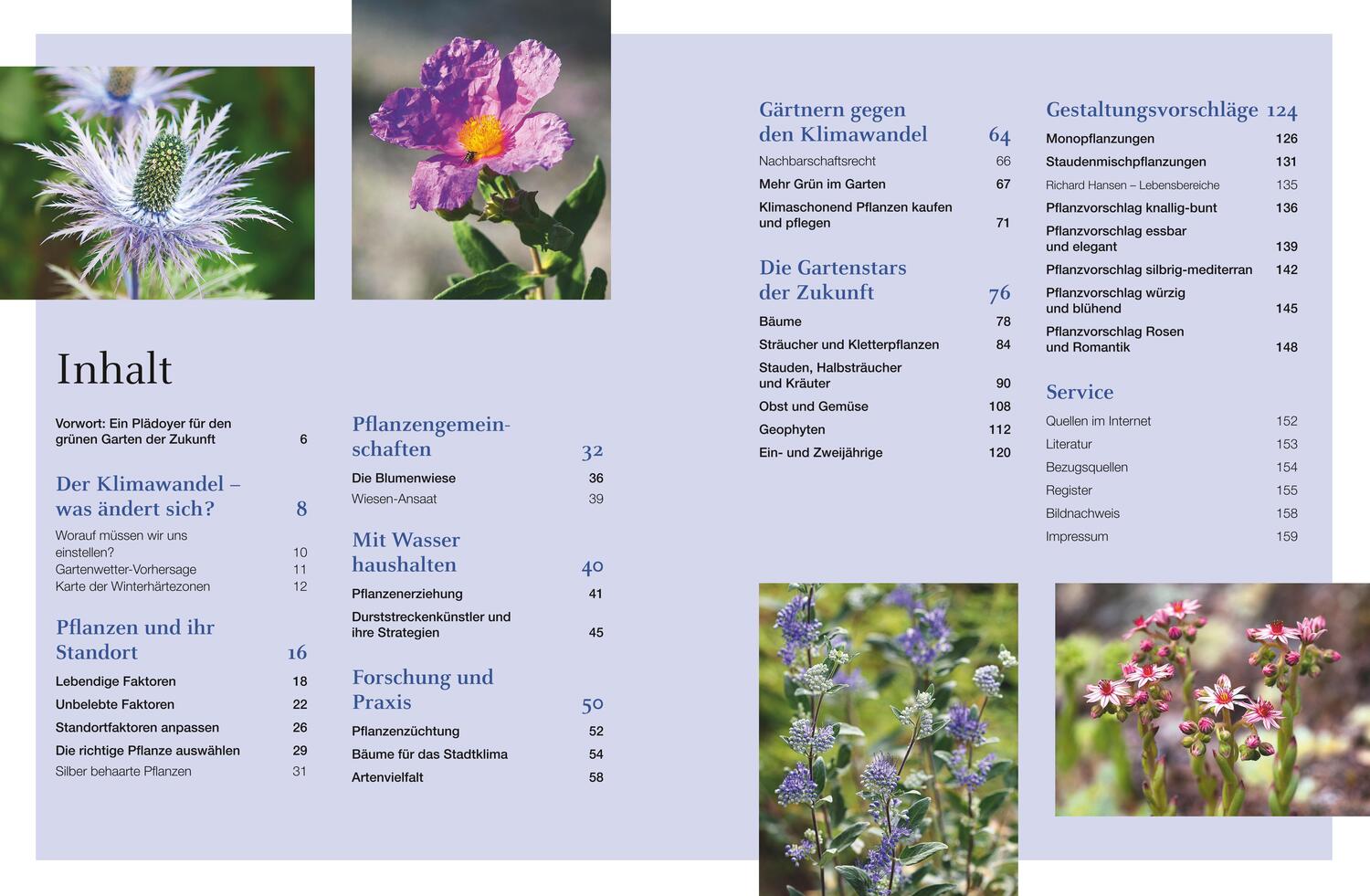 Bild: 9783967470017 | Robuste Schönheiten für den Garten | Ina Timm | Buch | 160 S. | 2020