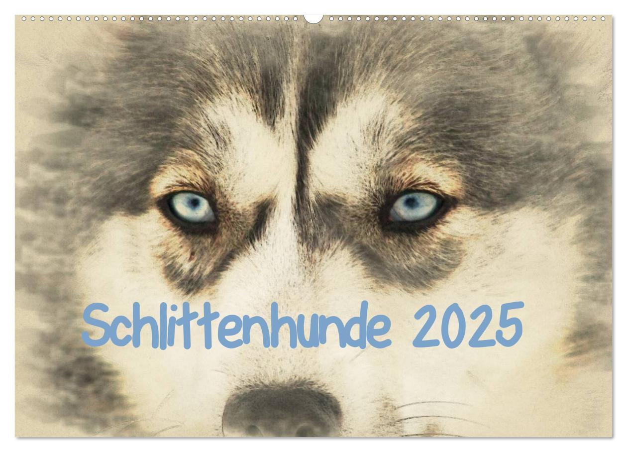 Cover: 9783435705955 | Schlittenhunde 2025 (Wandkalender 2025 DIN A2 quer), CALVENDO...