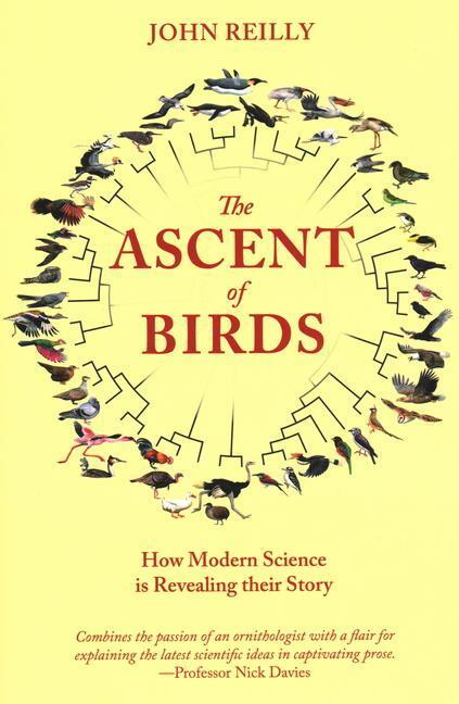 Cover: 9781784272036 | The Ascent of Birds: How Modern Science Is Revealing Their Story