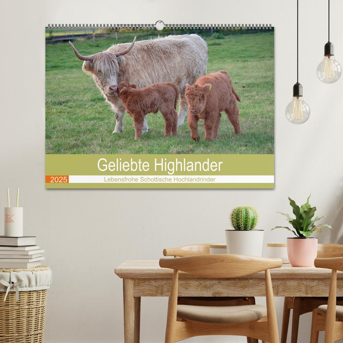 Bild: 9783435100651 | Geliebte Highlander (Wandkalender 2025 DIN A2 quer), CALVENDO...