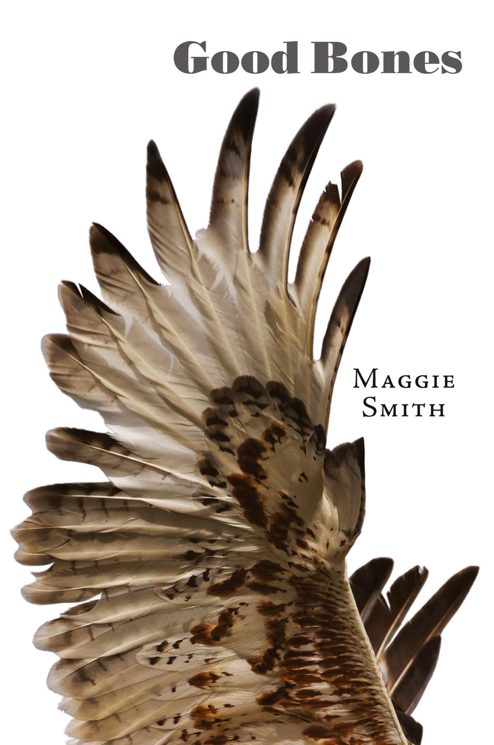 Cover: 9781946482013 | Good Bones | Maggie Smith | Taschenbuch | Englisch | 2017