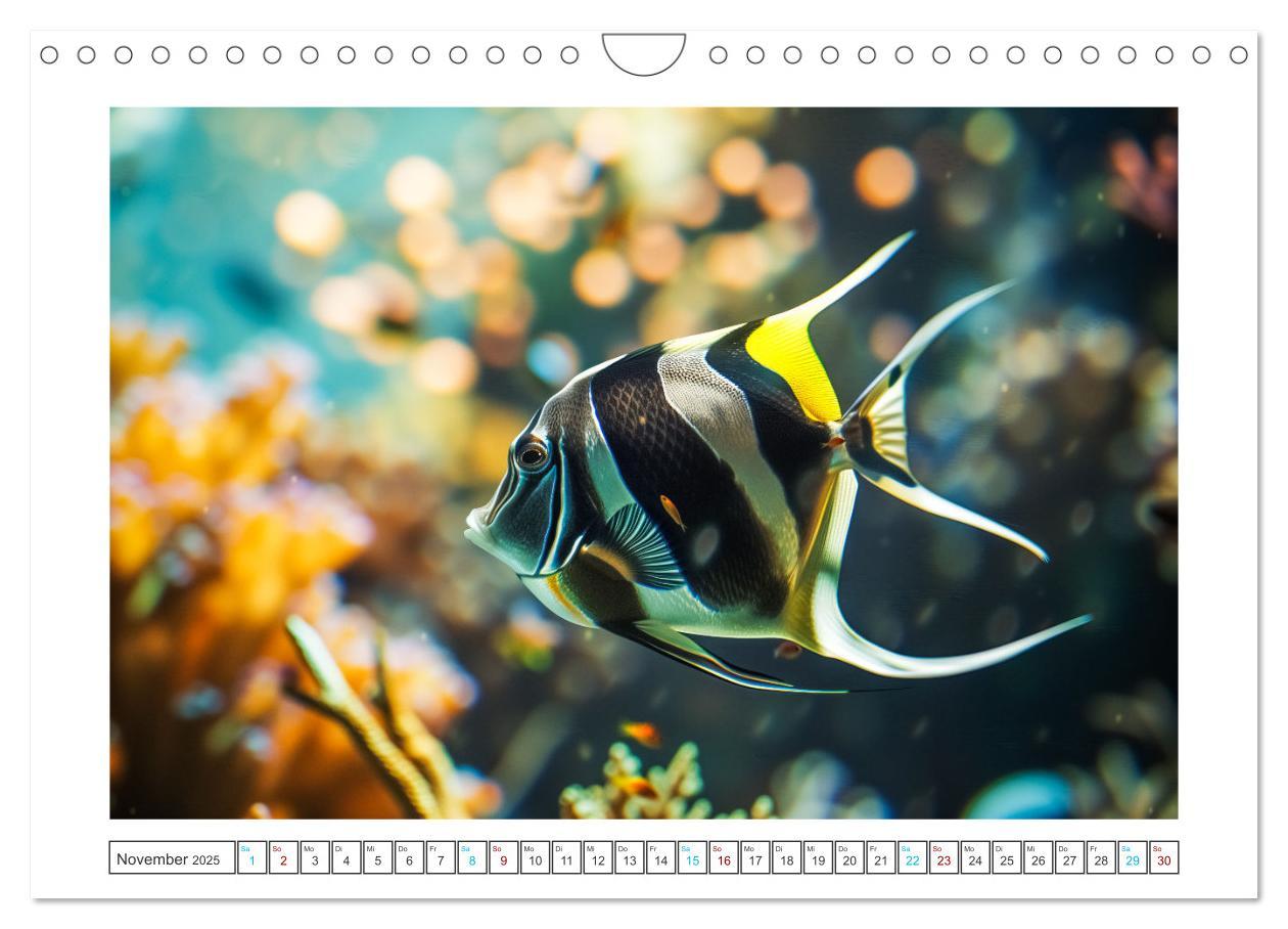 Bild: 9783383784347 | Exotische Fische (Wandkalender 2025 DIN A4 quer), CALVENDO...