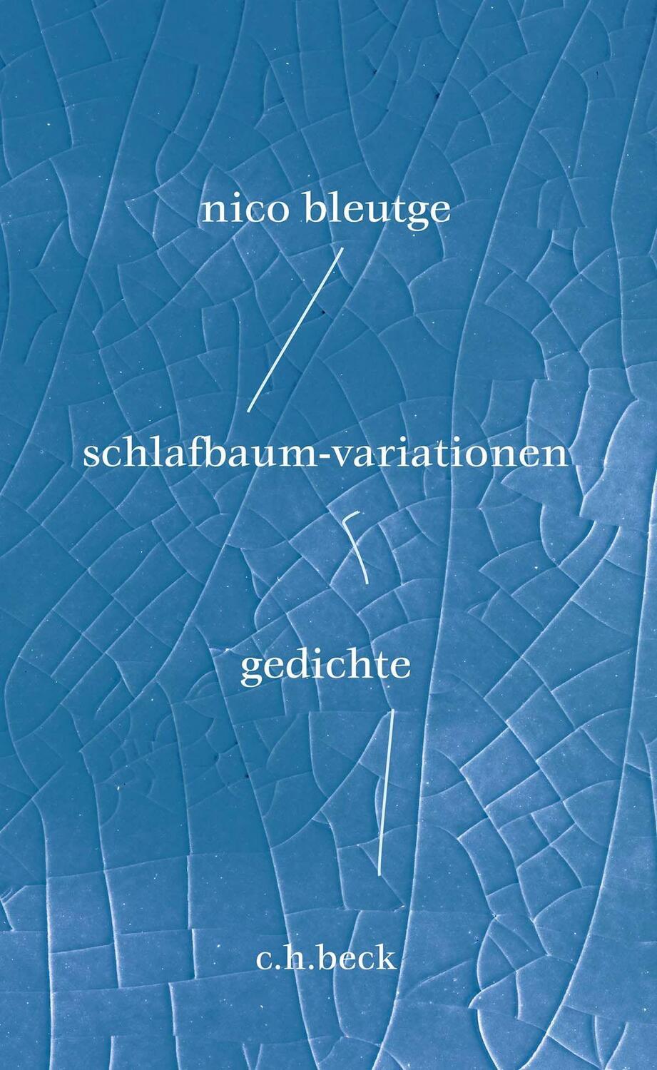 Cover: 9783406798542 | schlafbaum-variationen | gedichte | Nico Bleutge | Buch | Deutsch