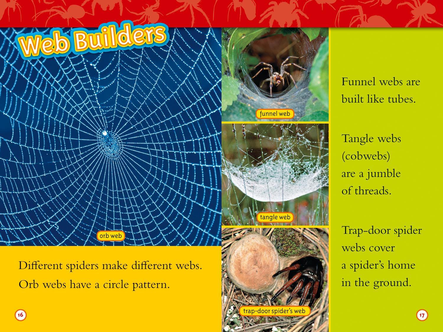 Bild: 9780008266653 | Spiders | Level 2 | Laura Marsh (u. a.) | Taschenbuch | Englisch