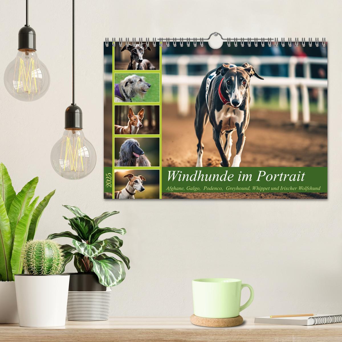 Bild: 9783457162057 | Windhunde im Portrait (Wandkalender 2025 DIN A4 quer), CALVENDO...