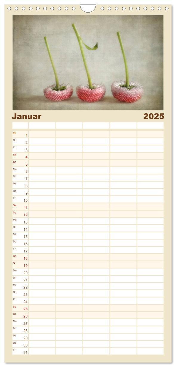 Bild: 9783457120996 | Familienplaner 2025 - Vintage Flowers mit 5 Spalten (Wandkalender,...